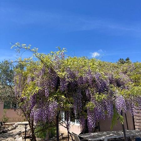 Sainte-Croix-de-Quintillargues Le Clos Des Olivettes מראה חיצוני תמונה