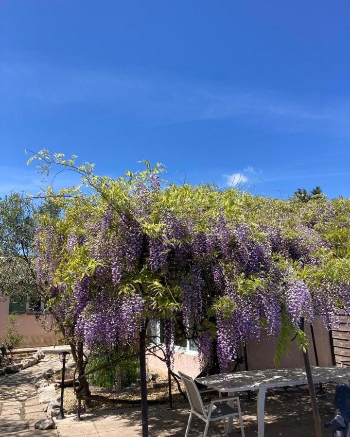 Sainte-Croix-de-Quintillargues Le Clos Des Olivettes מראה חיצוני תמונה