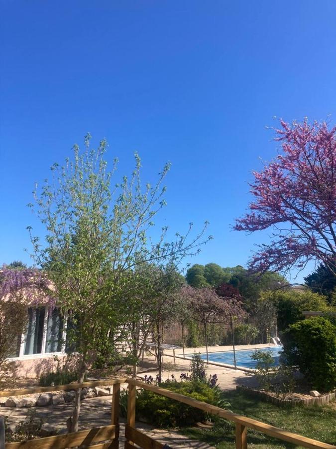 Sainte-Croix-de-Quintillargues Le Clos Des Olivettes מראה חיצוני תמונה