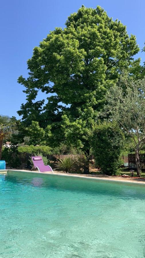 Sainte-Croix-de-Quintillargues Le Clos Des Olivettes מראה חיצוני תמונה